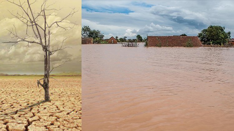 Doğu Afrika'nın güneyi sellerle, kuzeyi kuraklıkla mücadele ediyor