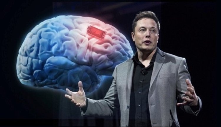 Musk'ın beyin implantı şirketi, insan denemelerine ortak arıyor