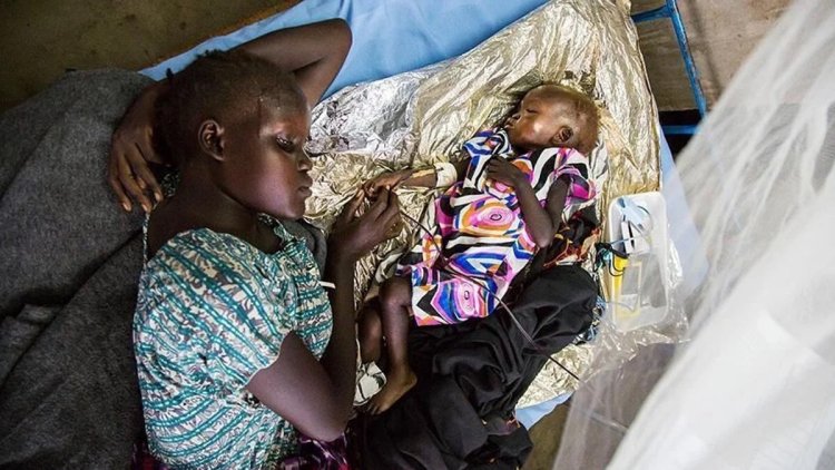 Nijerya'da menenjit salgınında hayatını kaybedenlerin sayısı 124'e çıktı