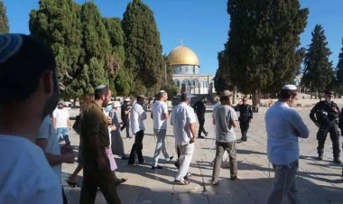 Siyonist Yahudiler Mescid-i Aksa'ya baskınlarını sürdürüyor