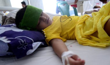 Arjantin’de en az 40 kişi dang hummasından öldü