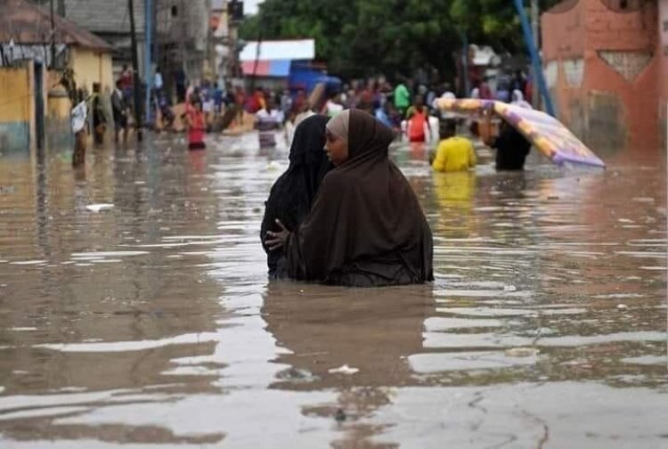 Somali'de seller 100 bin kişiyi yerinden etti