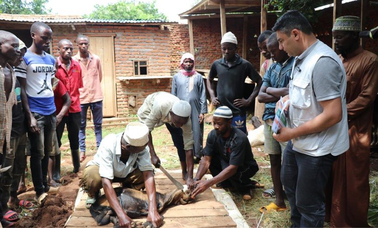 Avrupa Yetim Eli, kurban vekâletlerini Burundi'de kesti