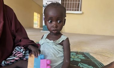 Nijerya'daki çatışma ortamı gıda güvenliği sorununu artırıyor