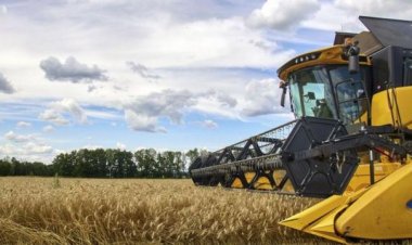 Rusya: Tahıl anlaşmasına alternatif konusunda temaslar yürütmüyoruz