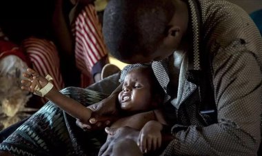 BM: Kolera 43 ülkede çocukları tehdit ediyor