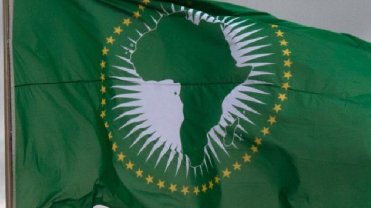 Afrika Birliği'nden Gabon'daki darbeye kınama