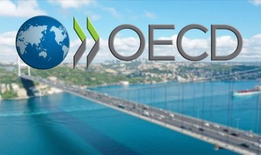 OECD Türkiye'nin büyüme tahminini yükseltti
