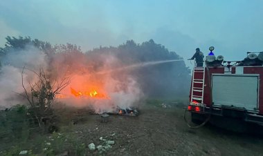 Kazakistan 60 bin hektarlık alanı aşan orman yangınıyla mücadele ediyor