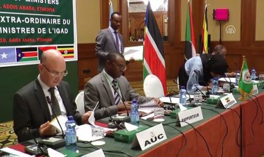 Eritre, 16 yıl aradan sonra IGAD toplantısına katıldı