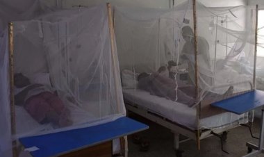 Tayland'da dang humması vakaları son 3 yılın en yüksek seviyesine çıktı