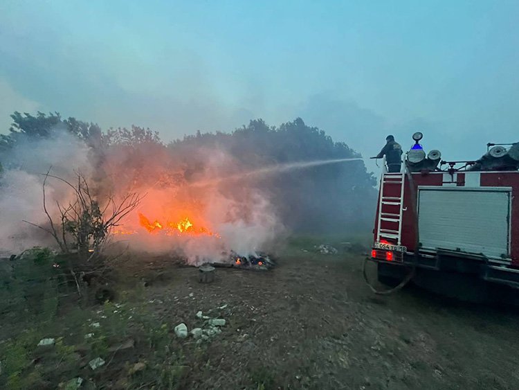 Kazakistan orman yangınıyla mücadele ediyor