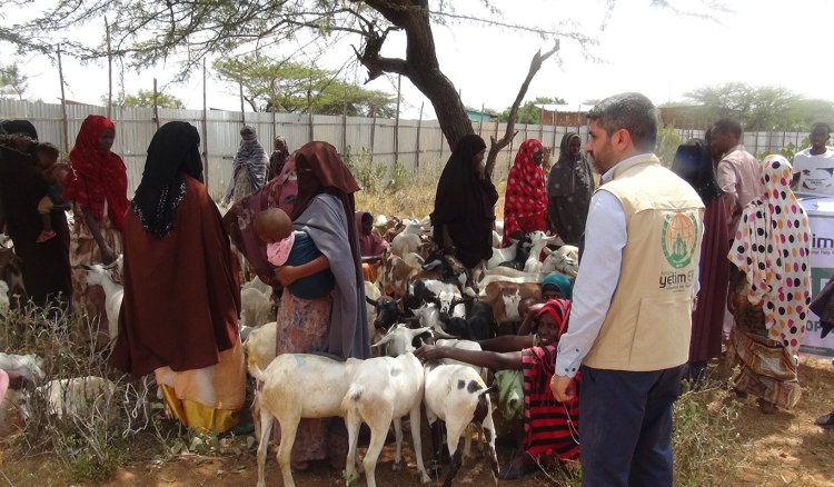 Avrupa Yetim Eli Afrika'da yoksul ailelere "Süt Keçisi" dağıttı