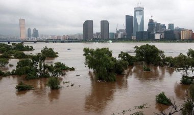 Güney Kore'de şiddetli yağışlar bir haftada 35 can aldı