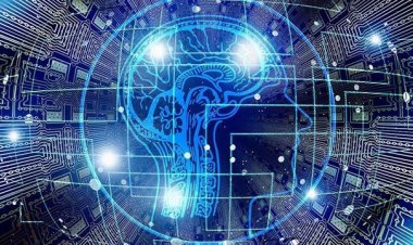 Belçika'da şirketlerin üçte biri işe alımlarda yapay zeka kullanıyor