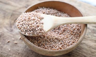 Buğday fiyatları bir günde yüzde 8'den fazla arttı