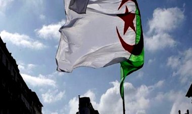 Cezayir'de sıcaklıklar nedeniyle 'kırmızı alarm' verildi