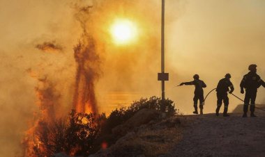 Fransa ve Yunanistan, orman yangınlarıyla mücadele ediyor