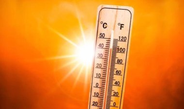 Meksika'da aşırı sıcaklar nedeniyle dört ayda 249 kişi öldü