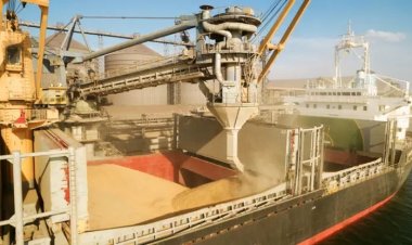 BM'den Rusya'ya tahıl koridoru uyarısı: Açlar müzakereleri veya diplomatik yolları bekleyemez