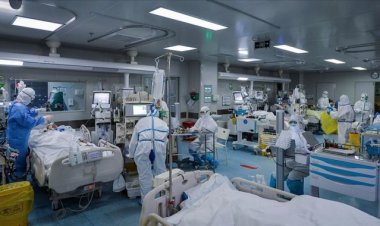 Japonya'da hastanelerin yaklaşık yüzde 30'u taşkın riski olan bölgelerde