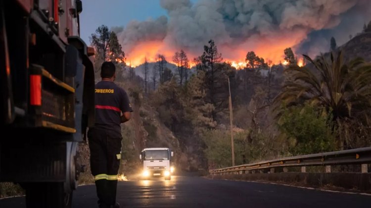 La Palma Adası'nda orman yangını: 4 binden fazla kişi tahliye edildi