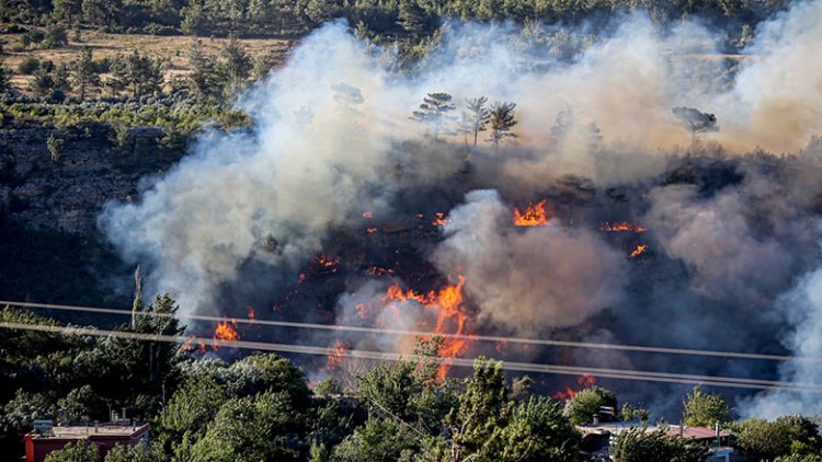 Türkiye’de 3 ilde orman yangınları sürüyor: 2 kişi tutuklandı