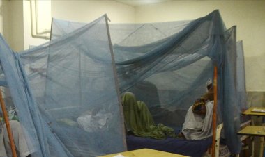 Bangladeş'te dang hummasından ölenlerin sayısı 300'ü aştı