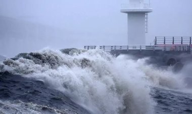 Güney Kore'de meydana gelen tayfun nedeniyle 10 binden fazla kişi tahliye edildi