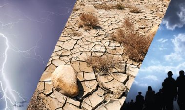 Dünyanın çıkış aradığı ikilem: İklim kriziyle mi, iklim göçüyle mi mücadele etmeli?