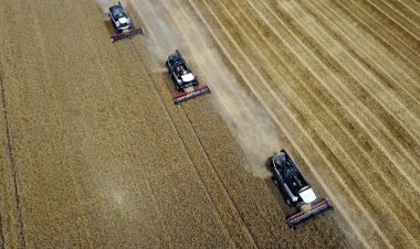 "Ukrayna'dan tahıl ve yağ ihracatı son bir ayda üçte bir oranında düştü"