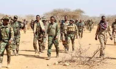 Somali'de El Şebab'a operasyon: 27 ölü