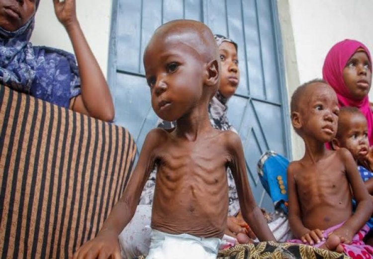Dünya Gıda Programı: Batı ve Orta Afrika'da 55 milyon insan açlık riski altında