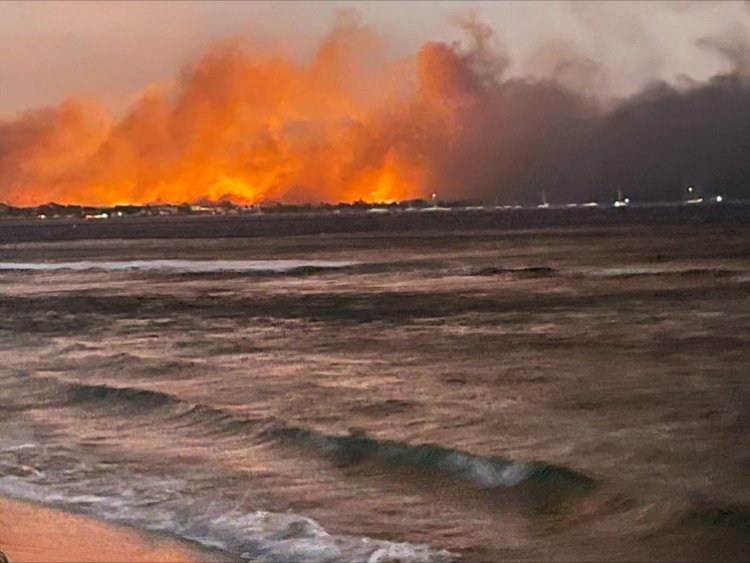 Hawaii’de ölü sayısı 67’ye yükseldi, yüzlerce kişi ise kayıp