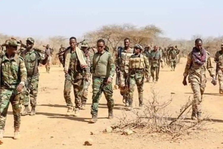 Somali'de El Şebab'a operasyon: 30 ölü