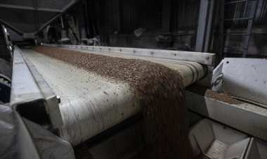 ABD, Rusya'yı Ukrayna'nın tahıl depolarını vurmakla suçladı