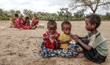 Açlık nedeniyle yiyecek aramaya çıkan 30 mülteci yaşamını yitirdi