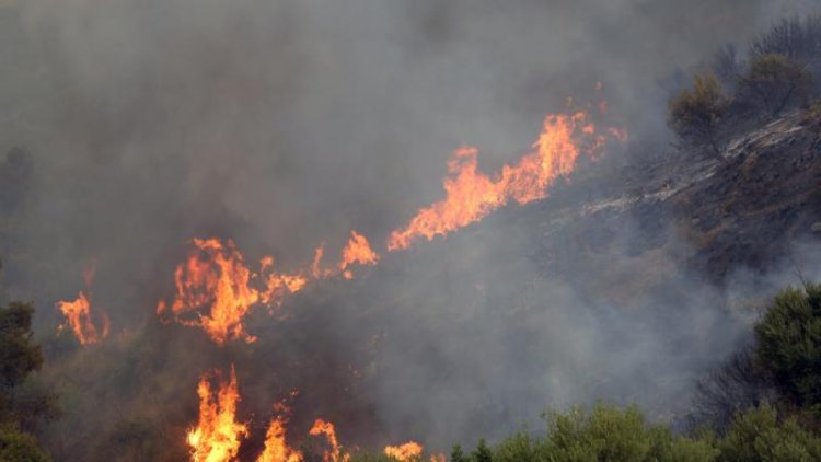 Cezayir’de 11 kentte 18 ayrı orman yangınını söndürme çalışmaları devam ediyor