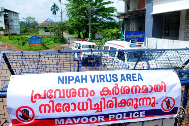 Hindistan'da ortaya çıkan Nipah virüsü yeni küresel salgın endişesi yarattı