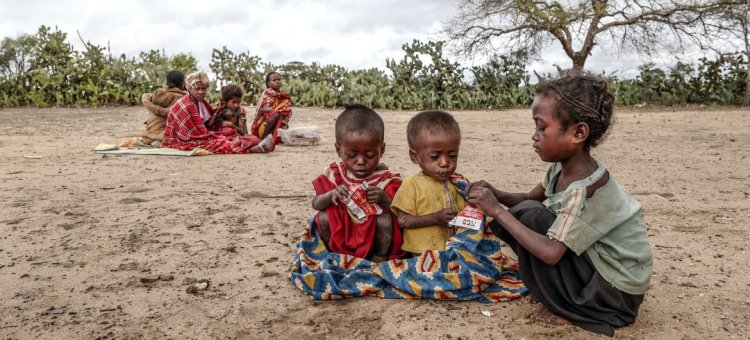 Açlık nedeniyle yiyecek aramaya çıkan 30 mülteci yaşamını yitirdi