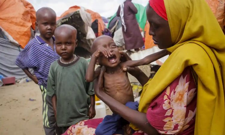 WFP: Güney Sudan'da ailelerin yüzde 90'ı yemek yemeden birkaç gün geçiriyor