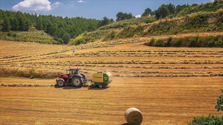 AB tarımdaki sorunları giderecek yeni strateji belirlemeye çalışıyor