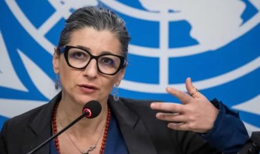 BM raportörü: Soykırım raporunu hazırlamaya başladığımdan beri hep tehdit edildim