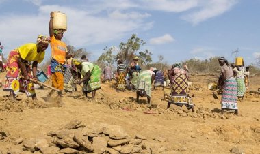 Afrika ülkeleri eski sömürgecilerinden tazminat istiyor