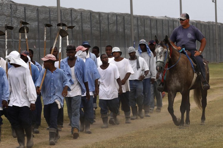 ABD'de yüz binlerce mahkuma kölelik dönemi yasalarının uygulanması tartışılıyor