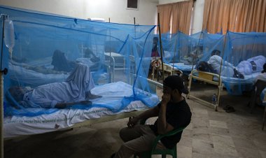 ABD'de doktorlar dang hummasına karşı uyarıldı