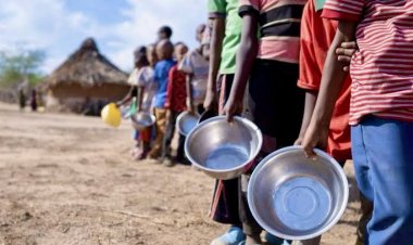 BM: Sudan'da 600 binden fazla kişi açlık sınırında