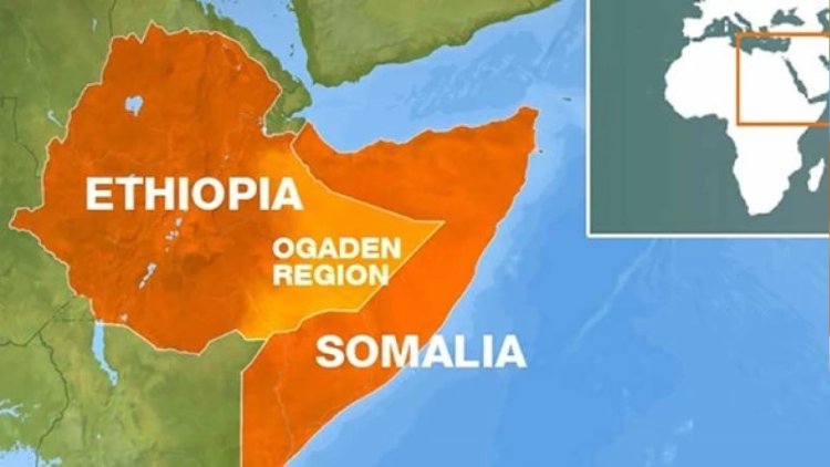 Somali ve Etiyopya arasında gerginlik tırmanıyor! Asla müttefikimiz olmayacak!
