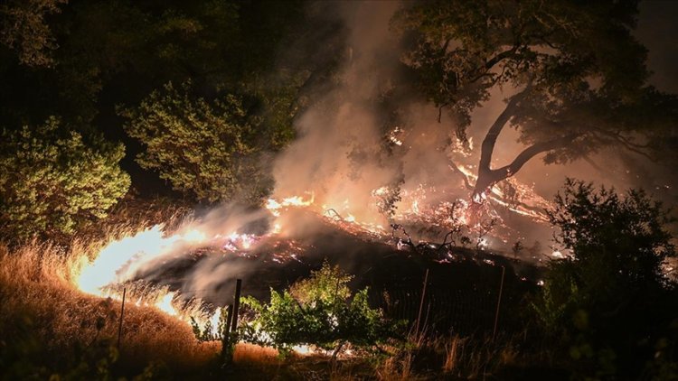 Los Angeles'ta çıkan orman yangınında 1200 kişi tahliye edildi