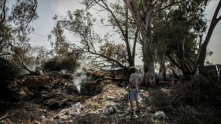 Libya'da çıkan yangın binlerce palmiye ağacını yok etti